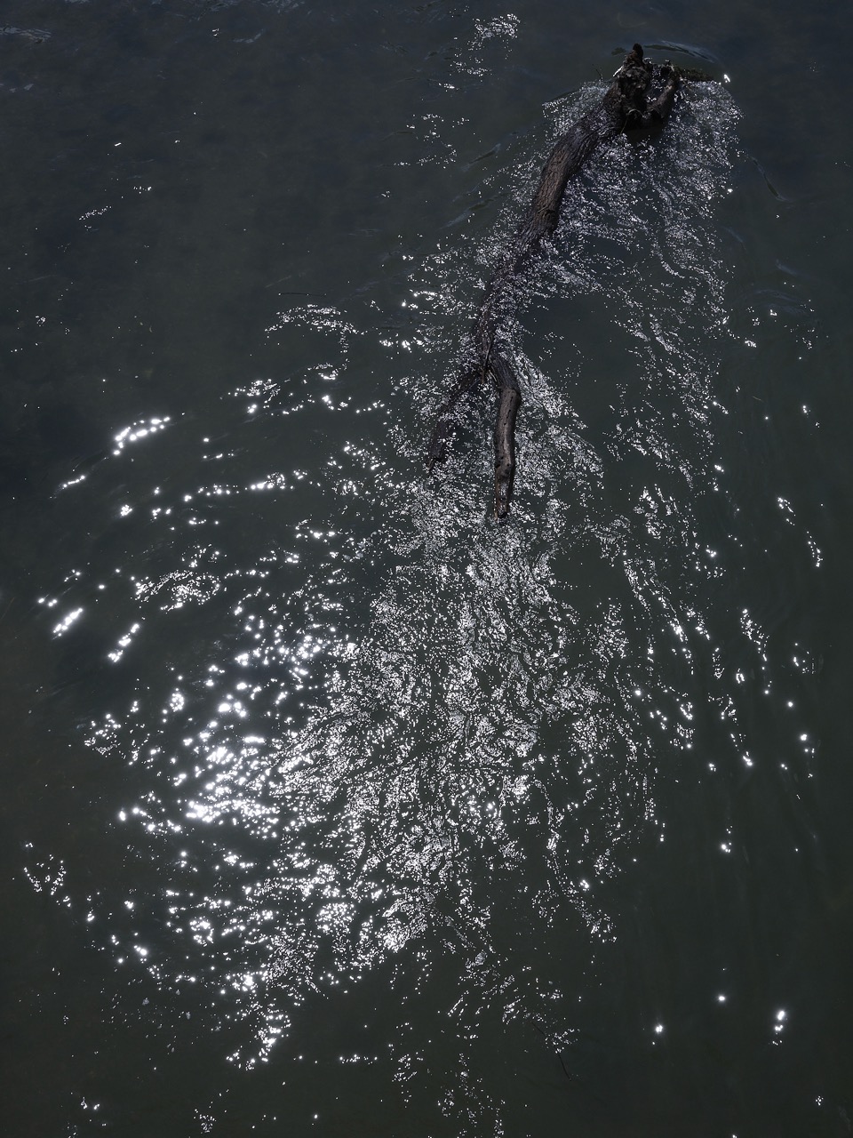 Detail 1