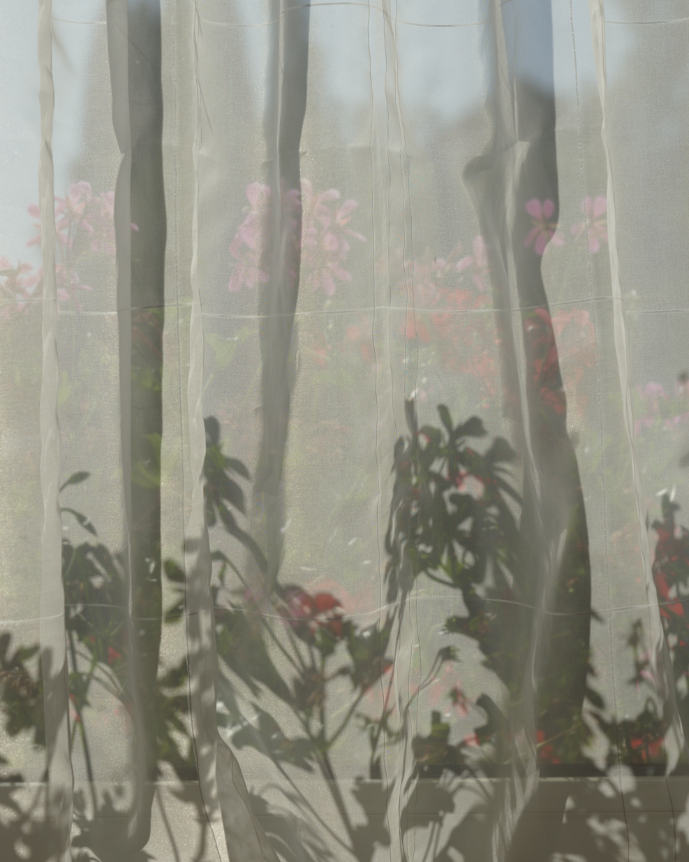 Peter_Rieser-ob_da_ich-2